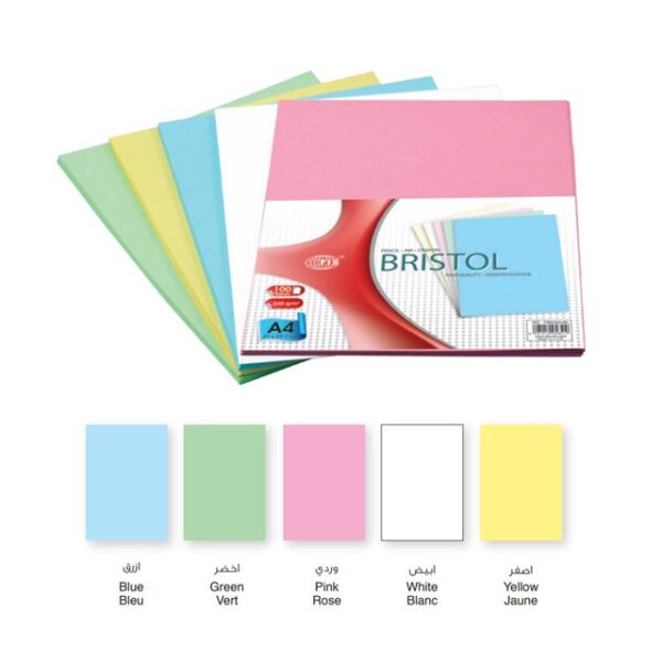 bristol-card